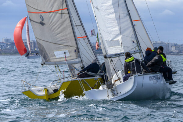 _DSC2481 - Copia