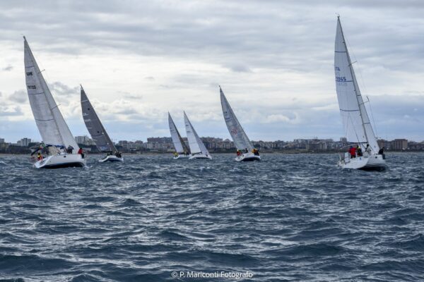 _DSC2713 - Copia